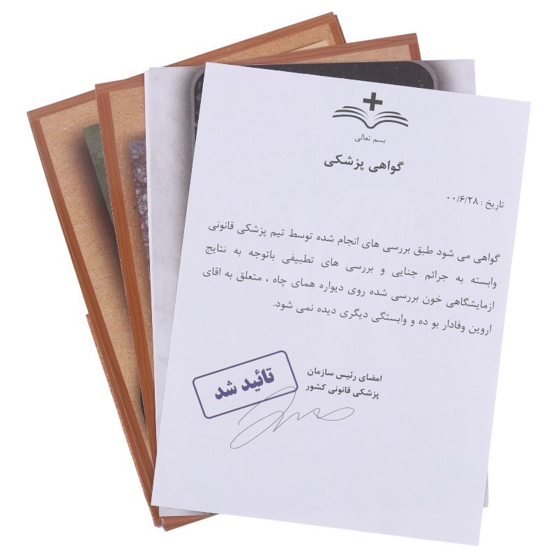 بازی فکری پرونده آروین وفادار مختاپوس کد 010213