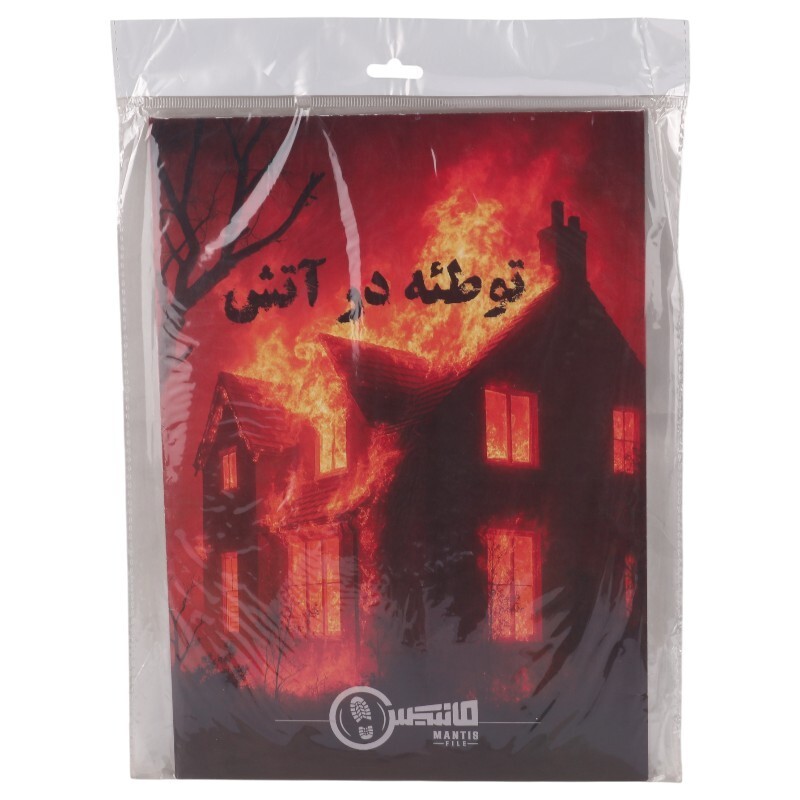 بازی فکری پرونده توطئه در آتش مانتیس کد 011340