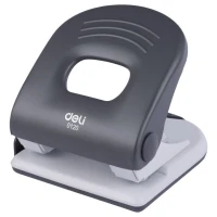 پانچ دلی 0120