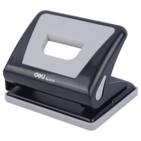 پانچ دلی 0105