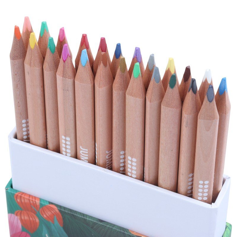 مداد رنگی 24 رنگ 3 گوش Tasteful Jumbo TS/1062