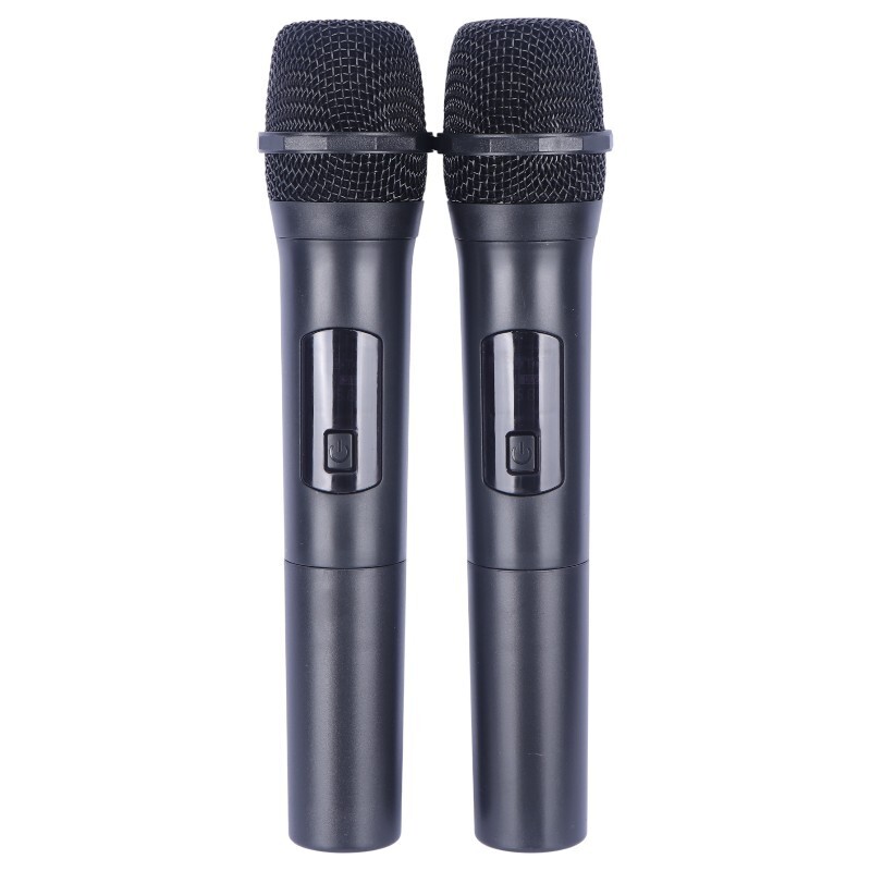 اسپیکر چمدانی بلوتوثی سینگ ای ZQS10221 + میکروفون و ریموت کنترل