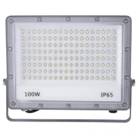 پروژکتور ال ای دی 100 وات لنزدار پارس سهیل