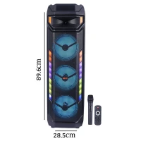 اسپیکر چمدانی بلوتوثی سینگ ای ZQS8317 + میکروفون و ریموت کنترل