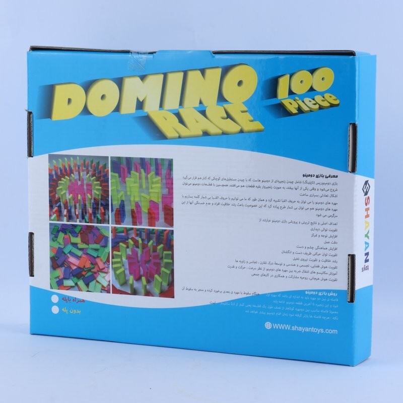 بازی فکری دومینو 100 تکه شایان
