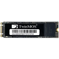 حافظه SSD توین موس TwinMos NGFFEGBM2280 256GB M.2