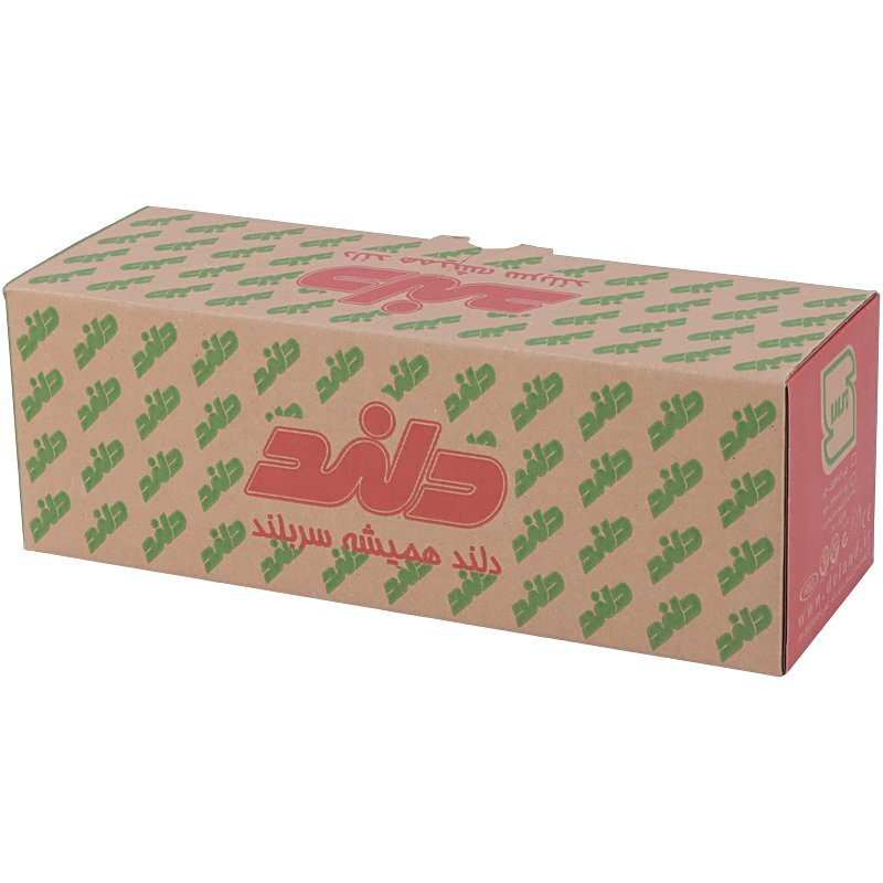 پریز محافظ دار پایه سرامیکی توکار ارت دار دلند الکتریک آسا