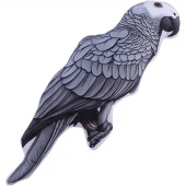 کوسن 3D طرح طوطی