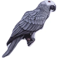 کوسن 3D طرح طوطی