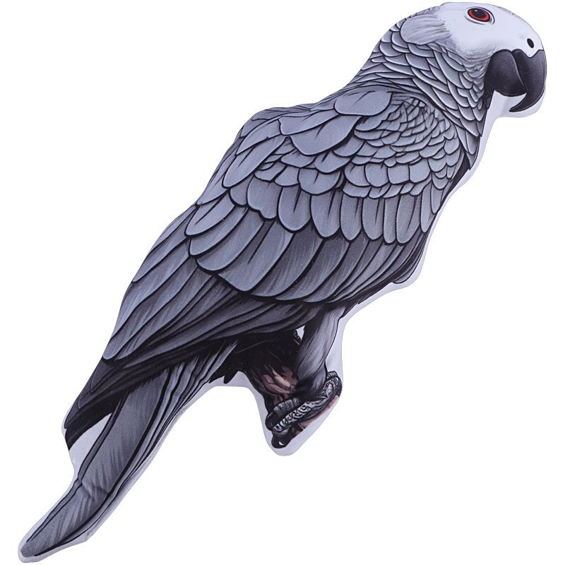 کوسن 3D طرح طوطی