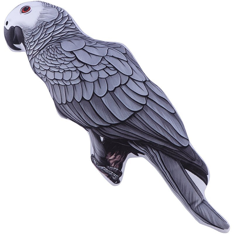 کوسن 3D طرح طوطی