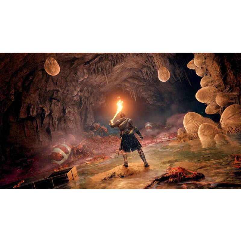 بازی Elden Ring مناسب برای PS5