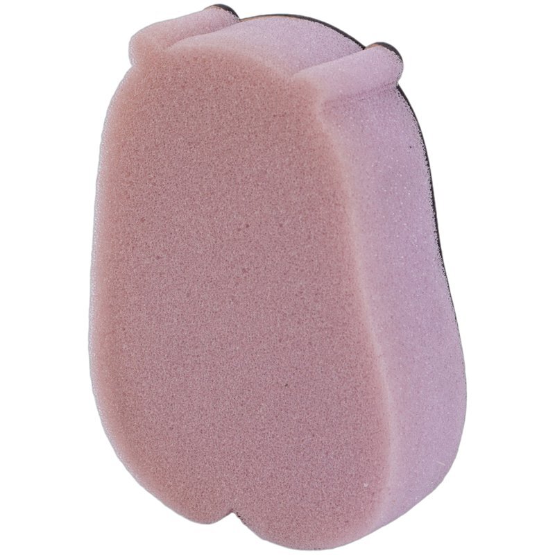 تخته پاک کن ابری رویال