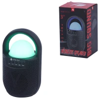 اسپیکر بلوتوثی کی تی اس KTS-1313