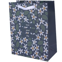 ساک دستی مقوایی 060142