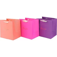 ساک دستی مقوایی 080109