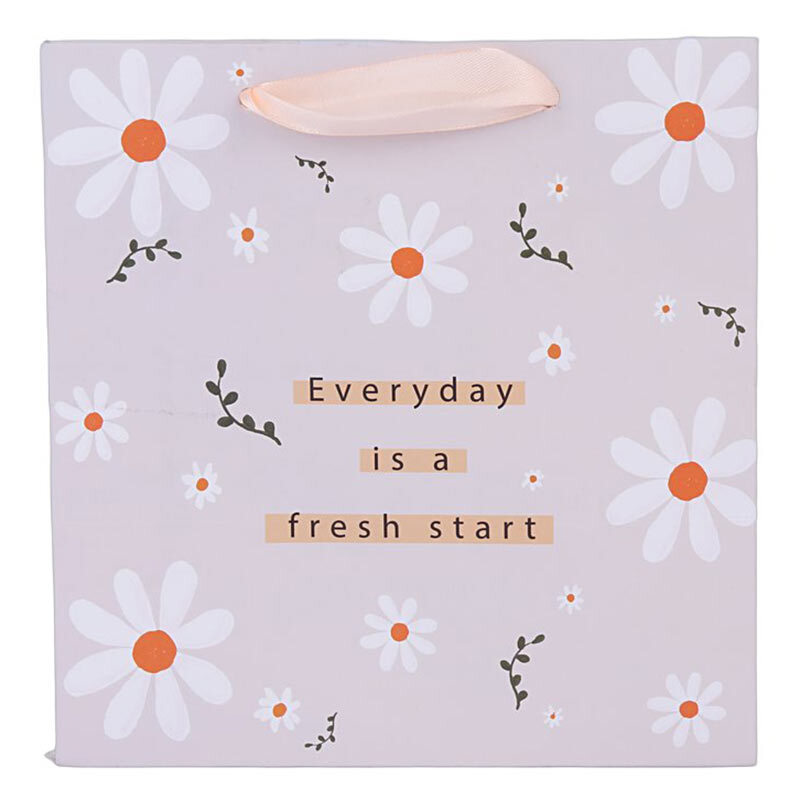 ساک دستی مقوایی 080112