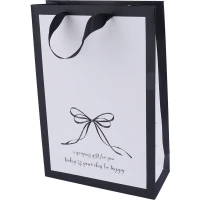 ساک دستی مقوایی 100110