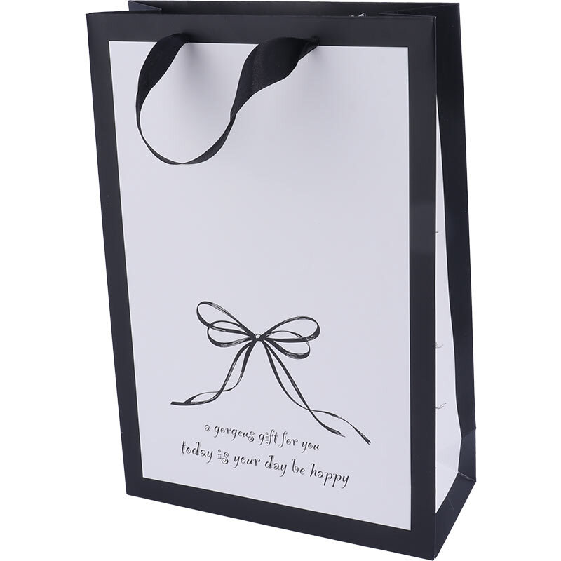 ساک دستی مقوایی 100110