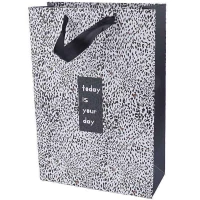 ساک دستی مقوایی 100113