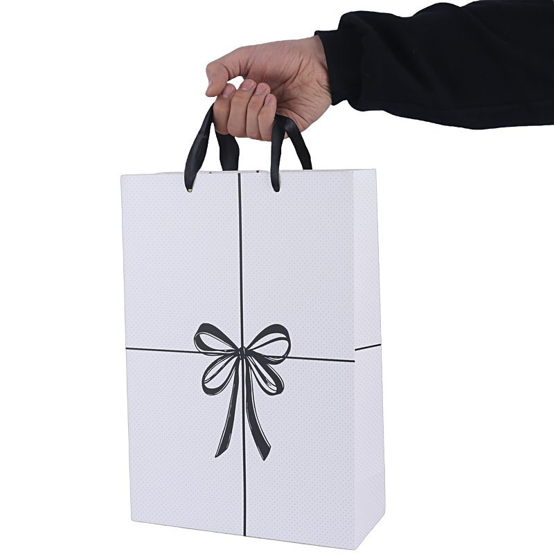 ساک دستی مقوایی 100116