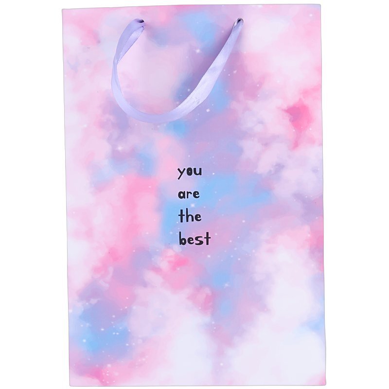 ساک دستی مقوایی 100117