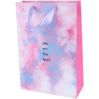 ساک دستی مقوایی 100117