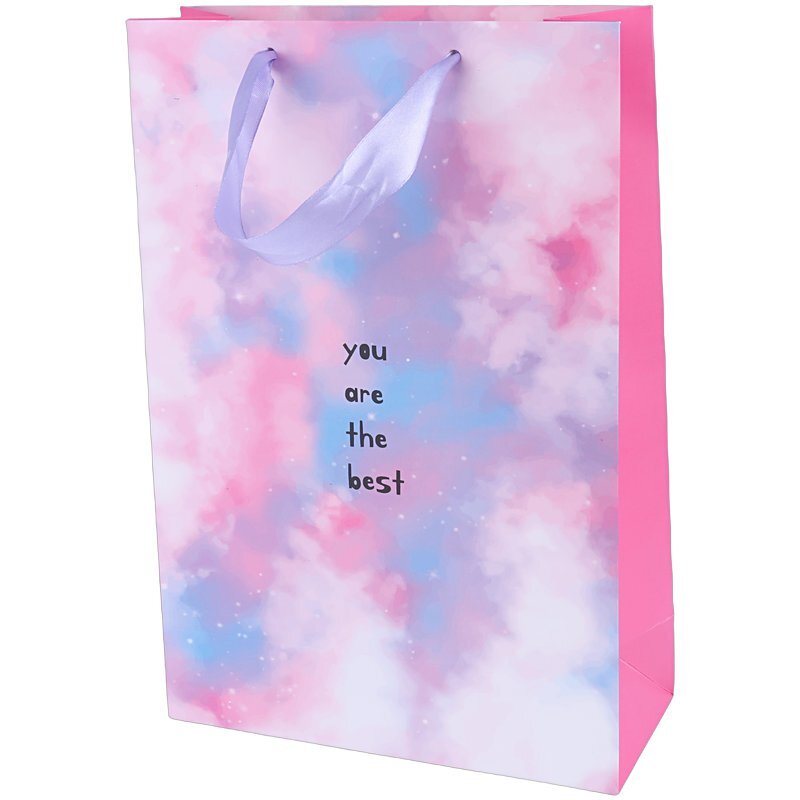 ساک دستی مقوایی 100117