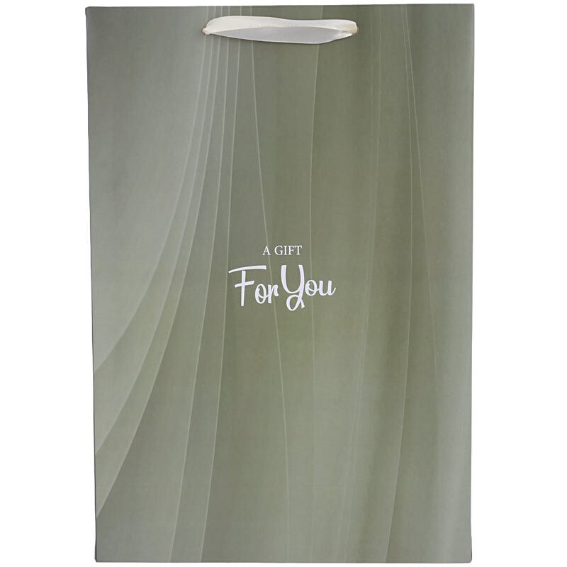 ساک دستی مقوایی 100123