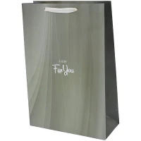 ساک دستی مقوایی 100123