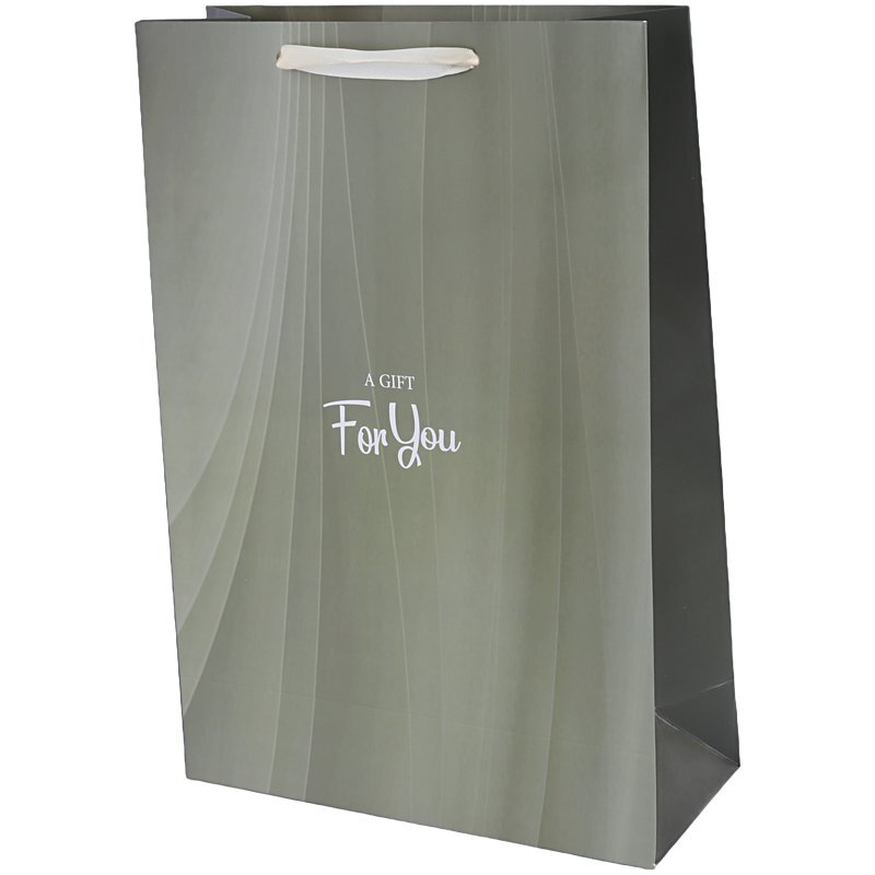 ساک دستی مقوایی 100123