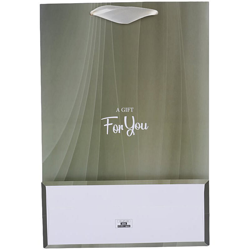 ساک دستی مقوایی 100123