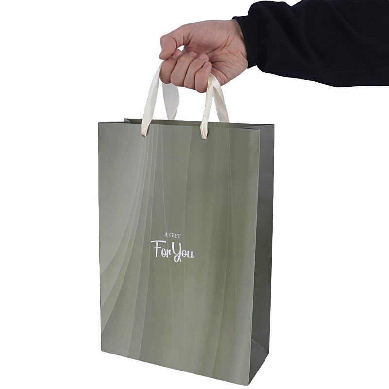 ساک دستی مقوایی 100123