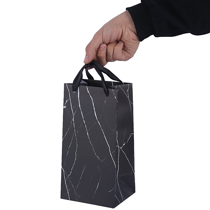 ساک دستی مقوایی 170101