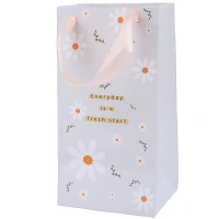 ساک دستی مقوایی 170106