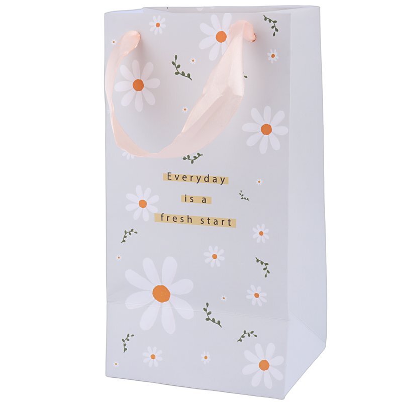 ساک دستی مقوایی 170106