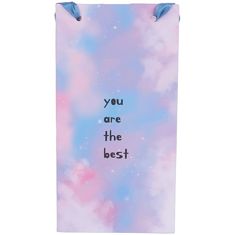 ساک دستی مقوایی 170108