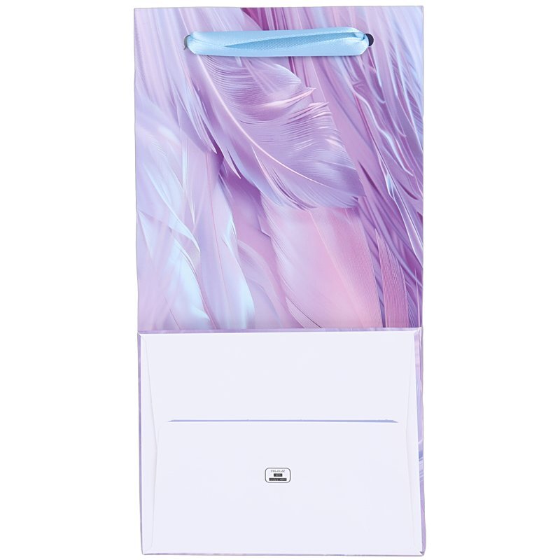 ساک دستی مقوایی 170111