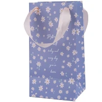 ساک دستی مقوایی 170115