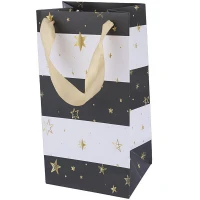 ساک دستی مقوایی 170116