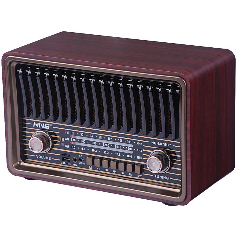 رادیو اسپیکر بلوتوثی ان ان اس NS-8075BT + ریموت کنترل