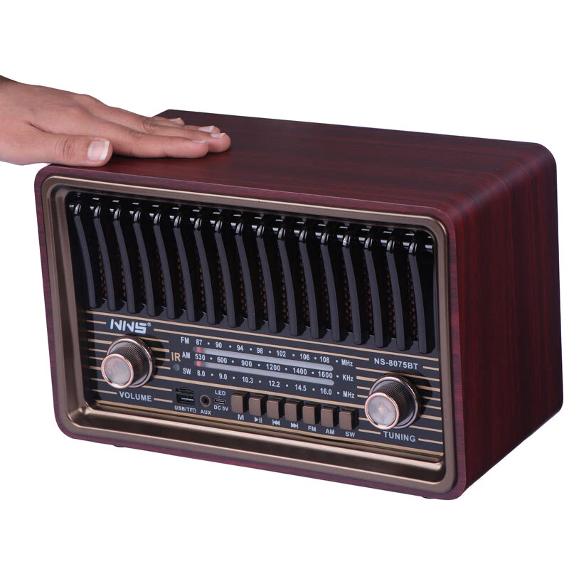 رادیو اسپیکر بلوتوثی ان ان اس NS-8075BT + ریموت کنترل