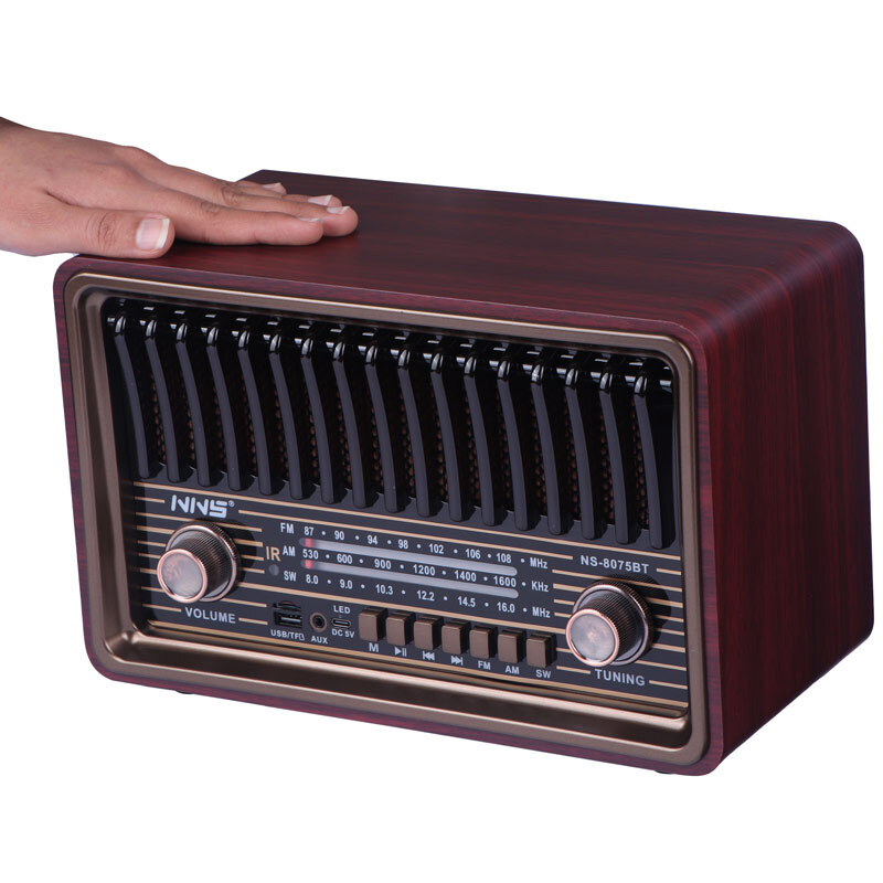 رادیو اسپیکر بلوتوثی ان ان اس NS-8075BT + ریموت کنترل