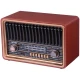 رادیو اسپیکر بلوتوثی ان ان اس NS-8075BT + ریموت کنترل