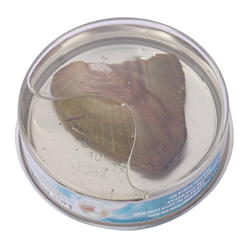 ست باکس گل و گردنبند مروارید عشق کوچک