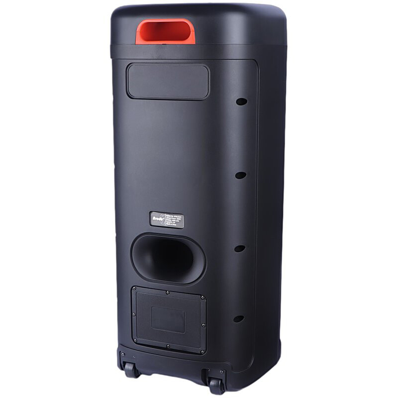 اسپیکر چمدانی بلوتوثی برودو BTS-2121 + میکروفون و ریموت کنترل