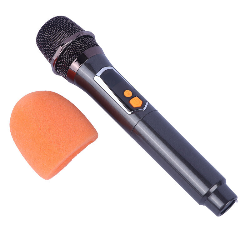 اسپیکر چمدانی بلوتوثی برودو BTS-2121 + میکروفون و ریموت کنترل