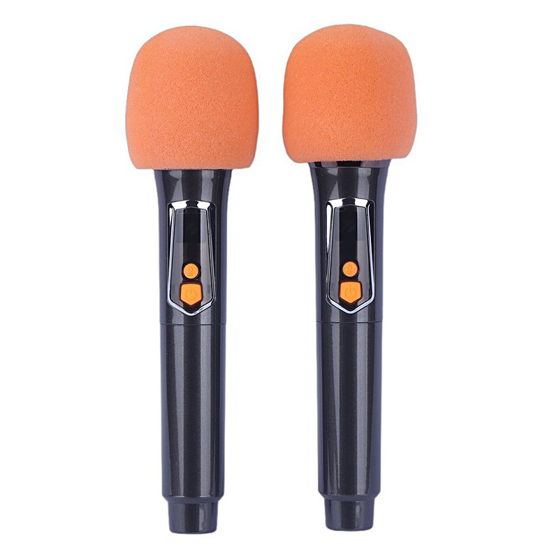 اسپیکر چمدانی بلوتوثی برودو BTS-2121 + میکروفون و ریموت کنترل