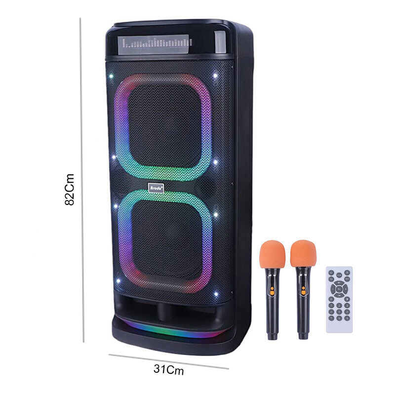 اسپیکر چمدانی بلوتوثی برودو BTS-2121 + میکروفون و ریموت کنترل