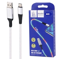 کابل تایپ سی فست شارژ 2.4 آمپر دنمن D25T طول 1 متر